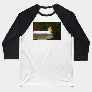 Robin Redbreast in Snow Baseball T-Shirt